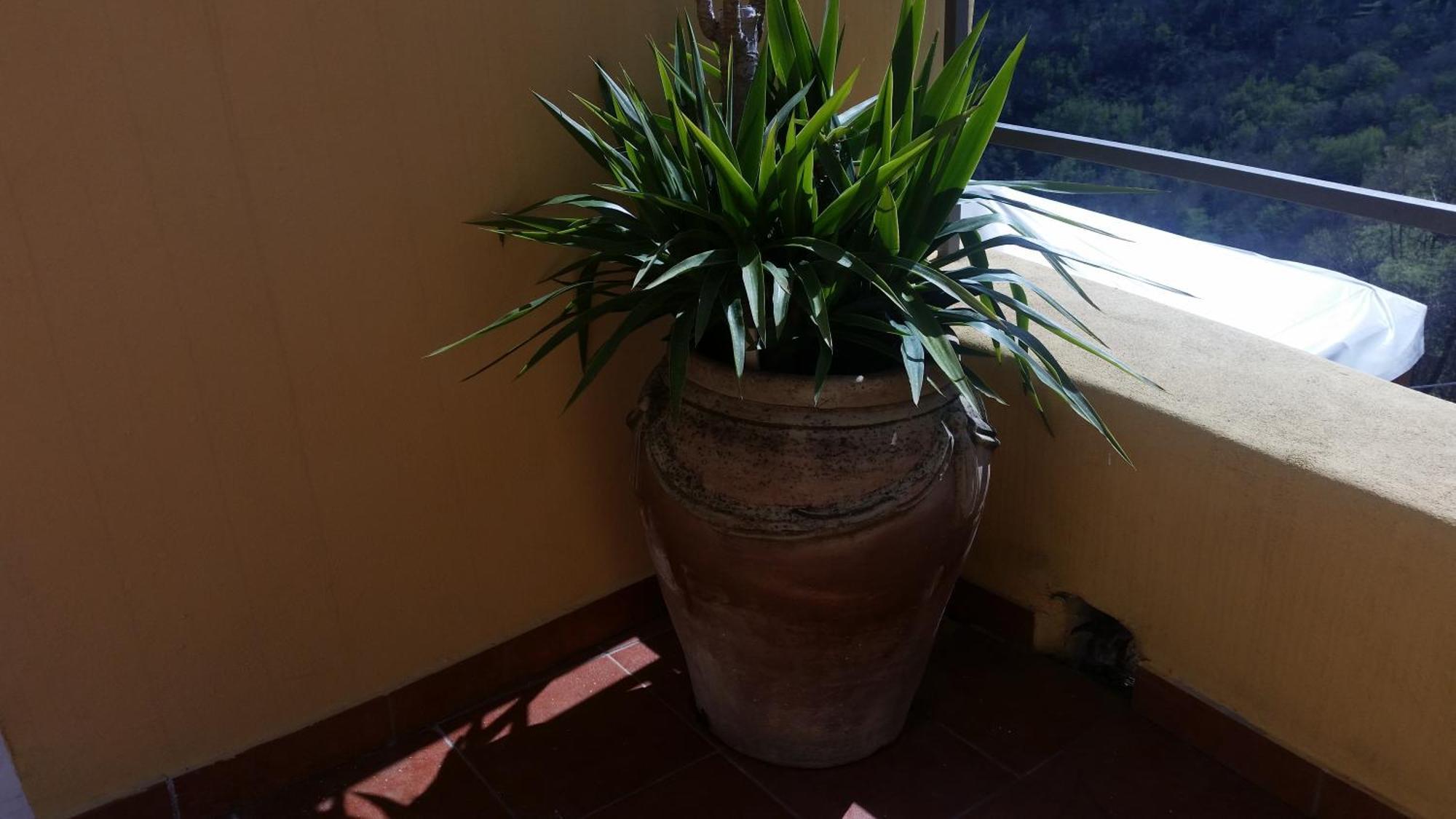 Sol Y Ombra Villa Voze Kültér fotó